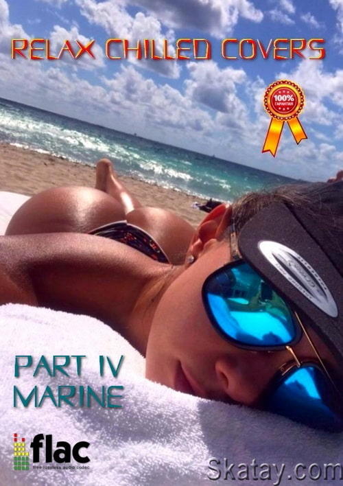 Relax Chilled Covers Instrumental, part IV - Marine (2023) FLAC