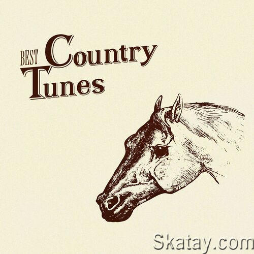 Best Country Tunes (2023)