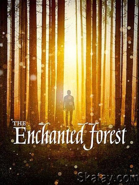 Зачарованный лес / Enchanted Forest (2020) HDTVRip