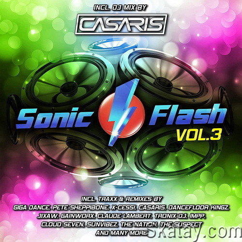 Sonic Flash Vol. 3 (2023)