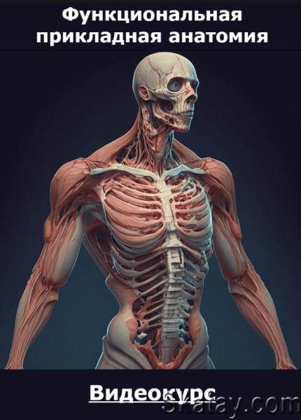 Функциональная прикладная анатомия (2023) /Видеокурс/