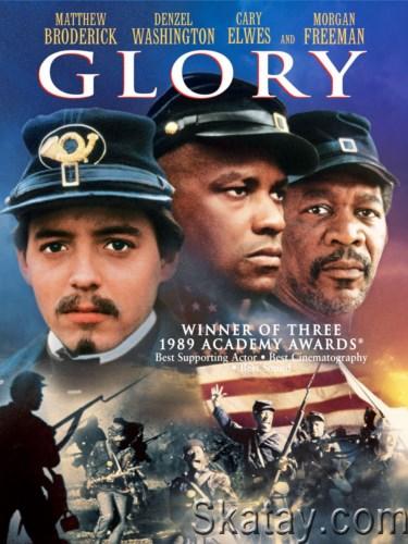 Слава / Доблесть / Glory (1989) HDRip / BDRip 720p / BDRip 1080p