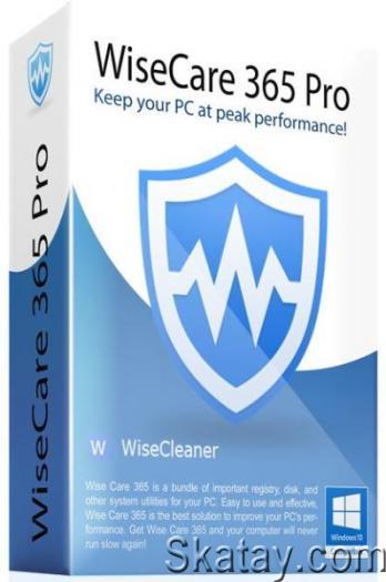 Wise Care 365 Pro v6.5.4.626 Portable