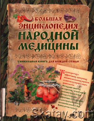 Большая энциклопедия народной медицины (2004)
