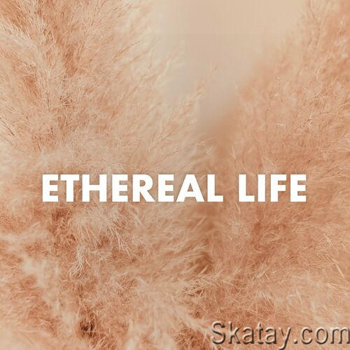 Etheral Life (2023)