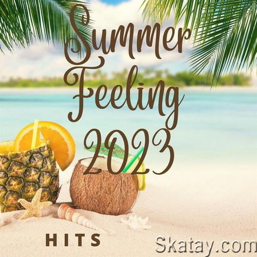 Summer Feeling 2023 Hits (2023) FLAC