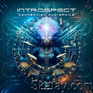 Introspect - Connection Audiophile EP (2023)