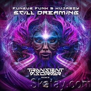 Fungus Funk & Hujaboy - Still Dreaming (Transient Disorder Remix) (Single) (2023)