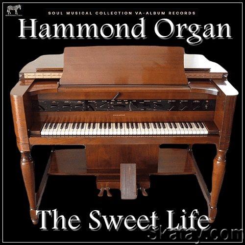 Hammond Organ - The Sweet Life (2023)
