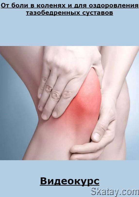 FitSpo: От боли в коленях и для оздоровления тазобедренных суставов (2023) /Видеокурс/