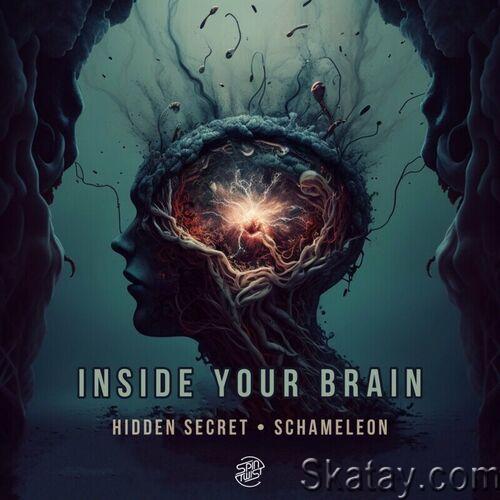 Hidden Secret & Schameleon - Inside Your Brain (Single) (2023)