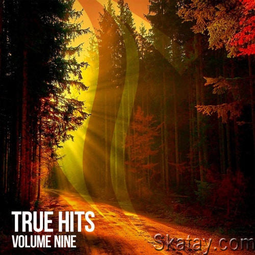 True Hits (Extended) Vol. 9 (2023)