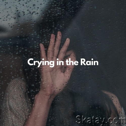 Crying in the rain (2023) FLAC