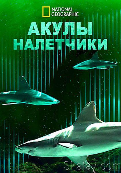 Акулы-налетчики / Bull Shark Bandits (2023) WEB-DL 1080p