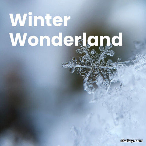 Winter Wonderland (2023)