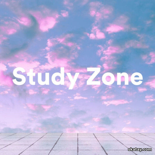 Study Zone (2023)