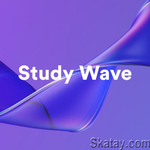 Study Wave (2023)