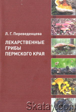 Лекарственные грибы Пермского края