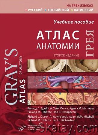Атлас анатомии Грея. 2 издание (2020)
