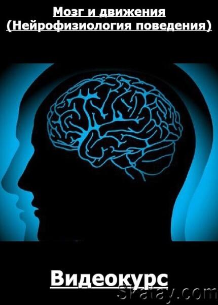 Мозг и движения (Нейрофизиология поведения) (2020) /Видеокурс/