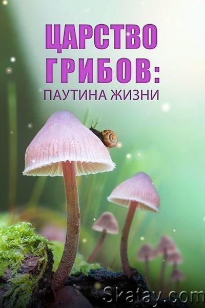 Царство грибов: паутина жизни / Fungi: The Web of Life (2023) WEBRip 2160p