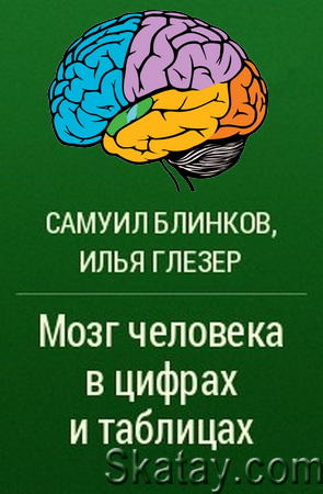 Мозг человека в цифрах и таблицах