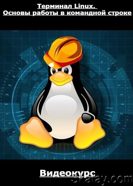 Терминал Linux. Основы работы в командной строке (2023) /Видеокурс/