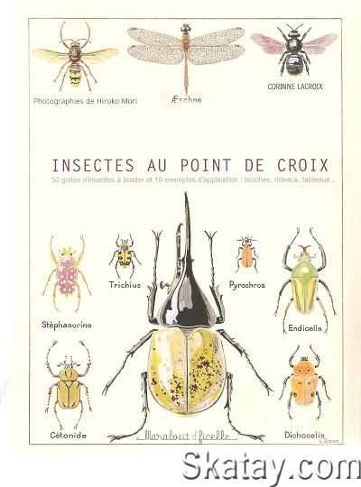 Insectes au point de croix (2006)