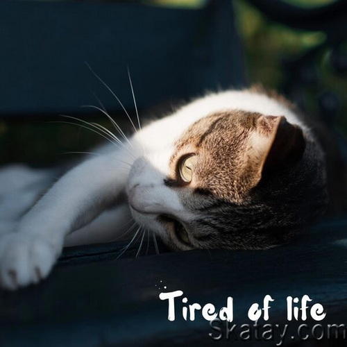 Tired Of Life (2024) FLAC