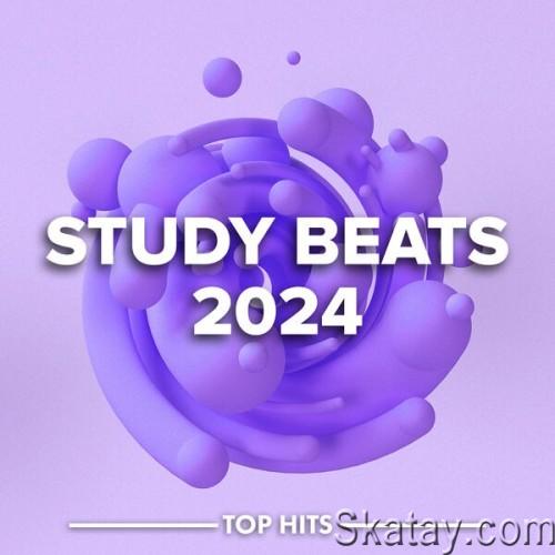 Study Beats Top Hits 2024 (2024)