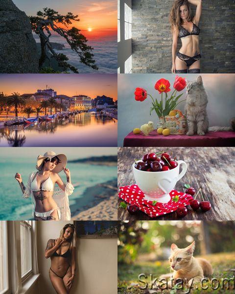 Wallpapers Mix №1152