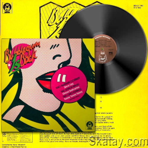 Bubblegum Is Back (Vinyl Rip) (1974)