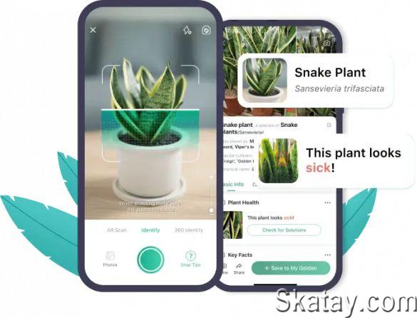 PictureThis растения признать / PictureThis - Plant Identification v4.2.2 MOD (Premium Unlocked) [Android]