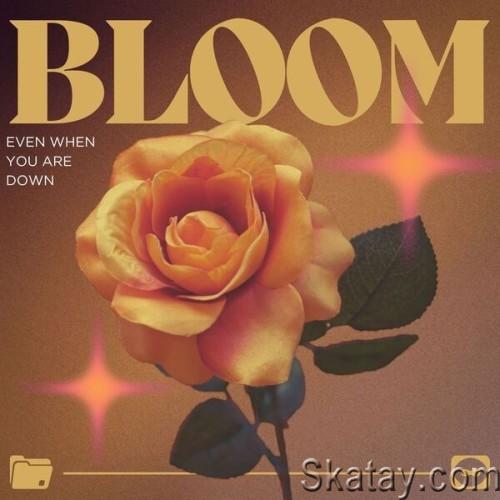 Bloom Even When You Are Down (2024)