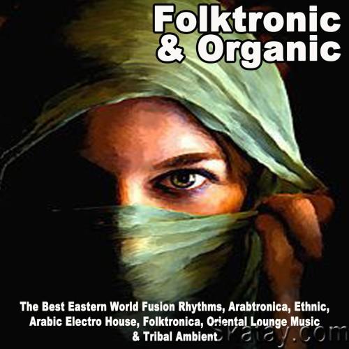 Folktronic and Organic (2022) FLAC