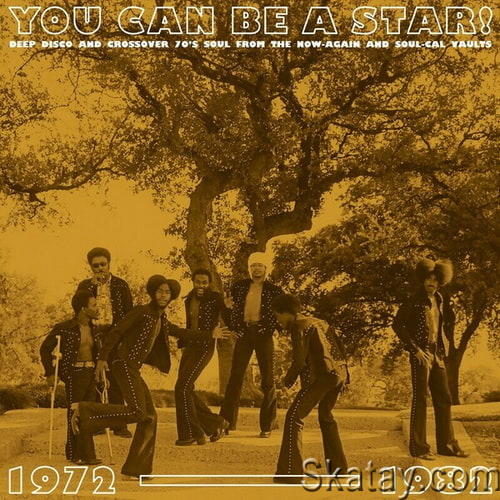 You Can Be A Star! Deep Disco and Crossover 70s Soul From The Now-Again and Soul-Cal Vaults 1972-1982 (2024) FLAC