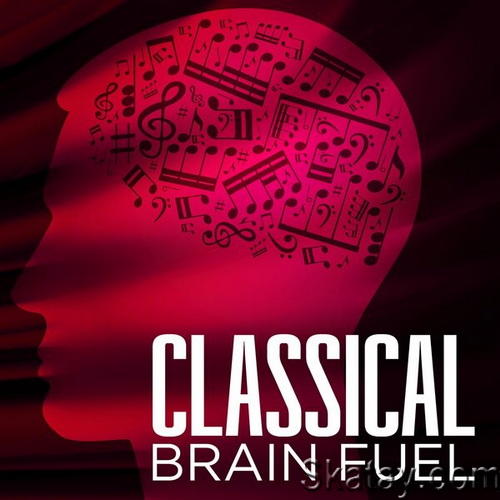 Classical Brain Fuel (2024)