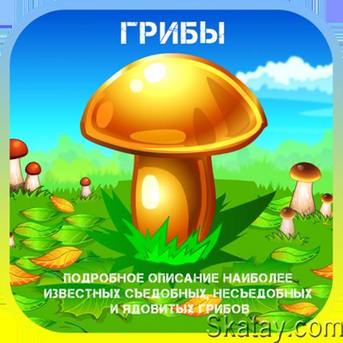 Грибы v1.4.2 Mod [Ru] (Android)