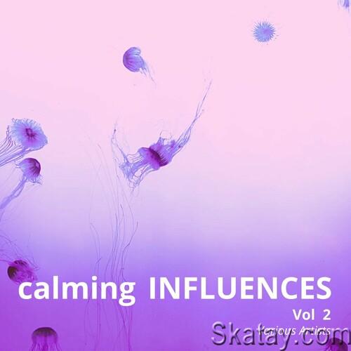 Calming Influences Vol 2 (2024) FLAC