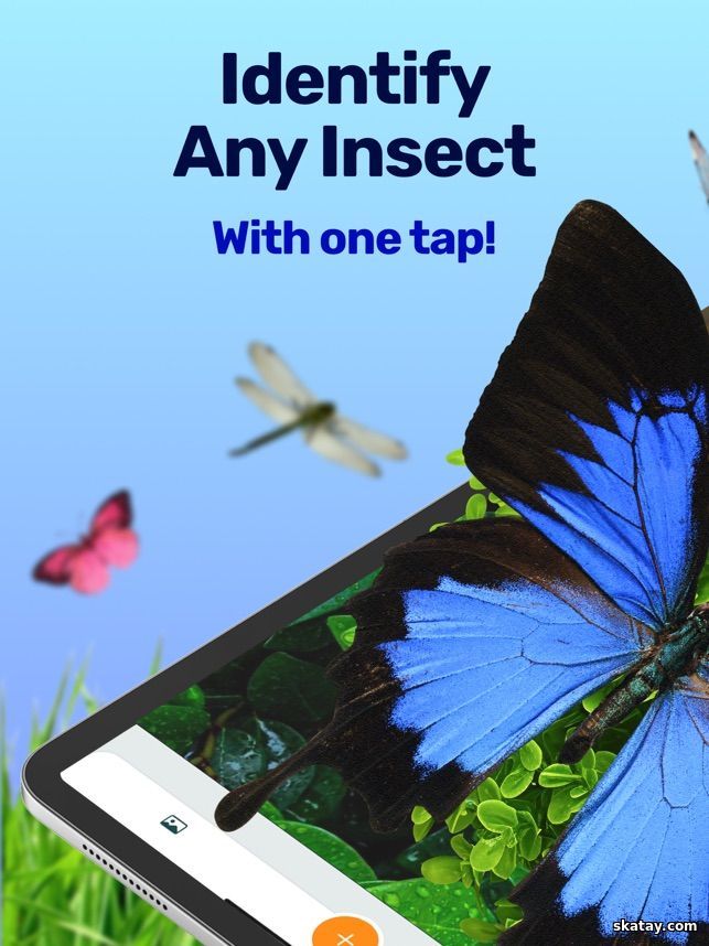 Picture Insect v2.8.32 MOD (Premium Unlocked) (Android)