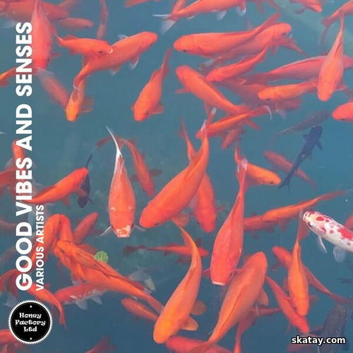 Good Vibes and Senses (2024) FLAC