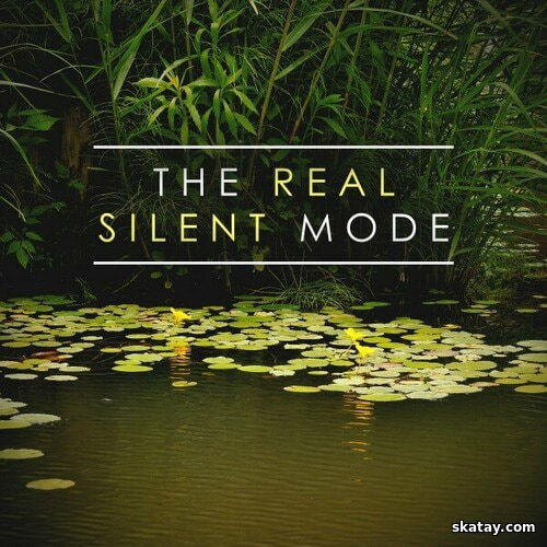 The Real Silent Mode (2024) FLAC