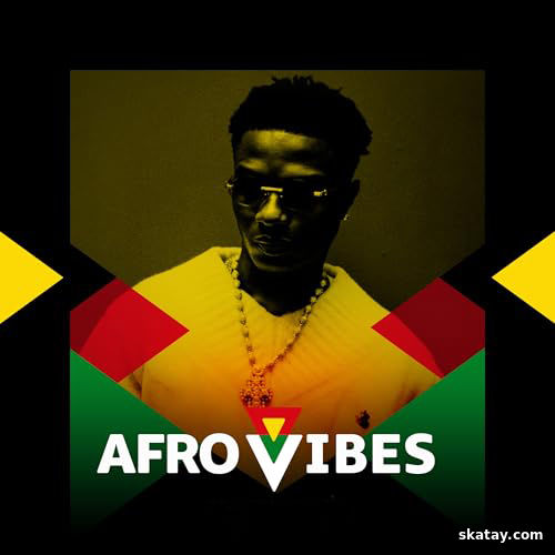 Afro Vibes 23-11-2024 (2024)