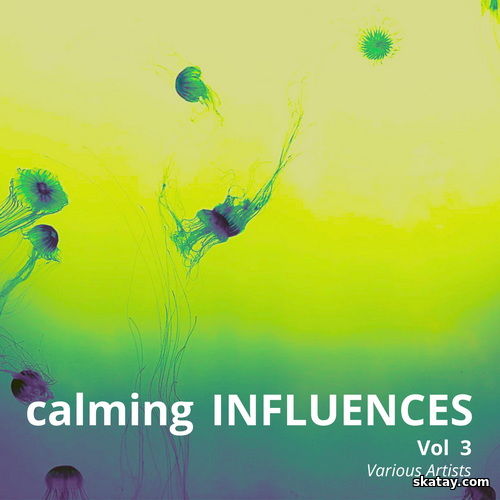 Calming Influences Vol. 3 (2024) FLAC