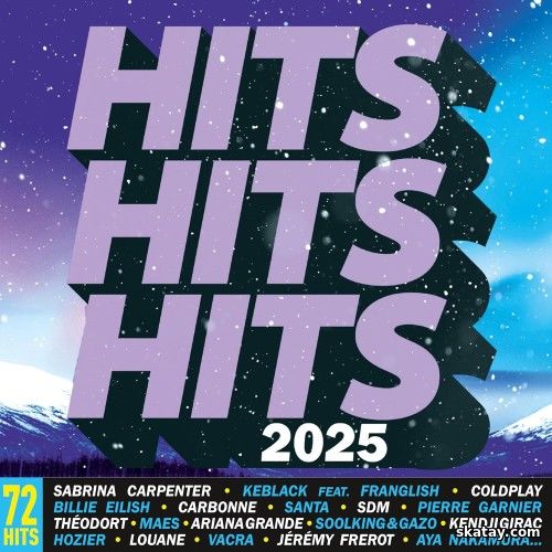 Hits Hits Hits 2025 (3CD) (2024)