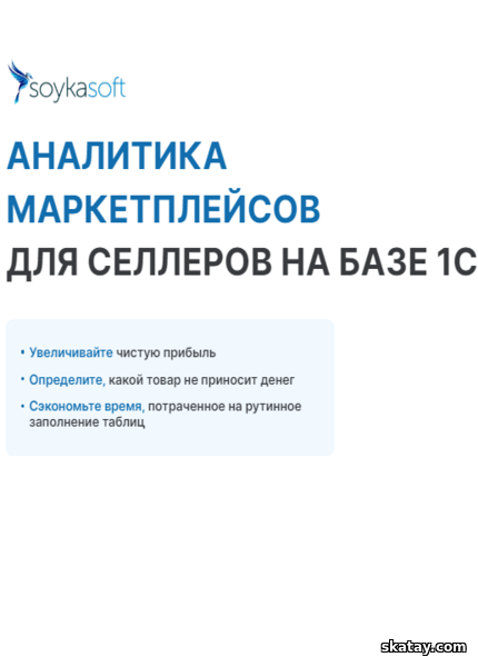 Аналитика маркетплейсов для селлеров на базе 1С. Тариф Lite (2024) /Видеокурс/