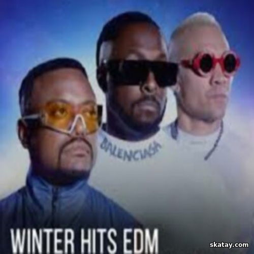 Winter Hits EDM 2025 (2024)