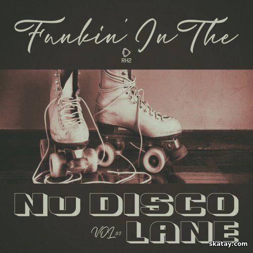 Funkin In The Nu Disco Lane Vol.03 (2025) FLAC