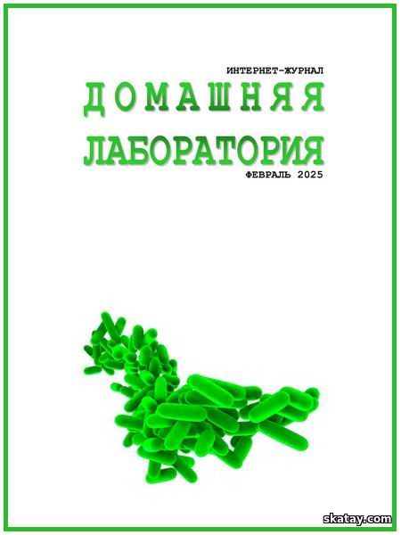 Домашняя лаборатория №2 (февраль 2025)