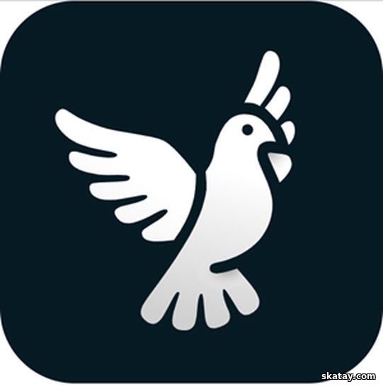 ByeByeDPI v1.4.8 [Ru/En] (Android)